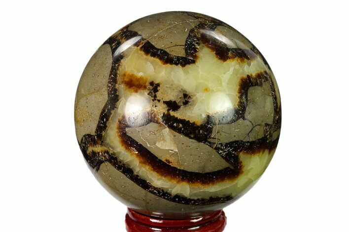 Polished Septarian Sphere - Madagascar #154121